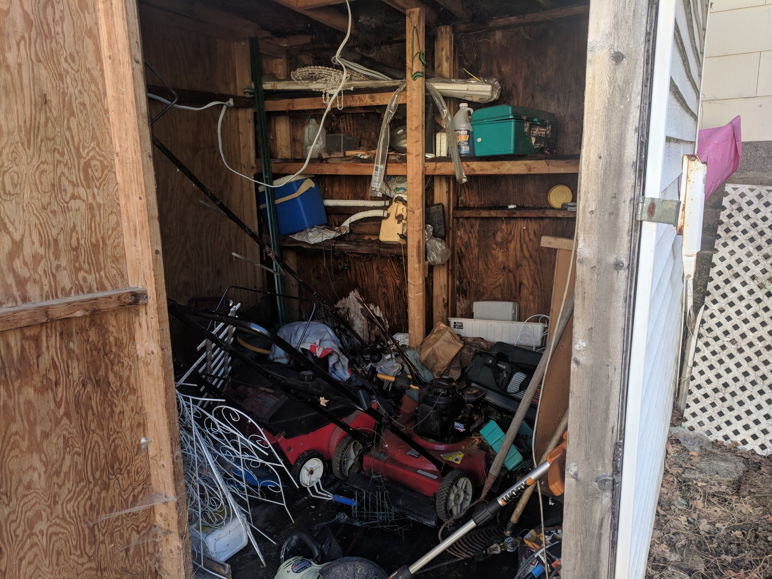 Cluttered shed interior with gardening tools, lawnmower, shelves holding various items, and wooden walls.