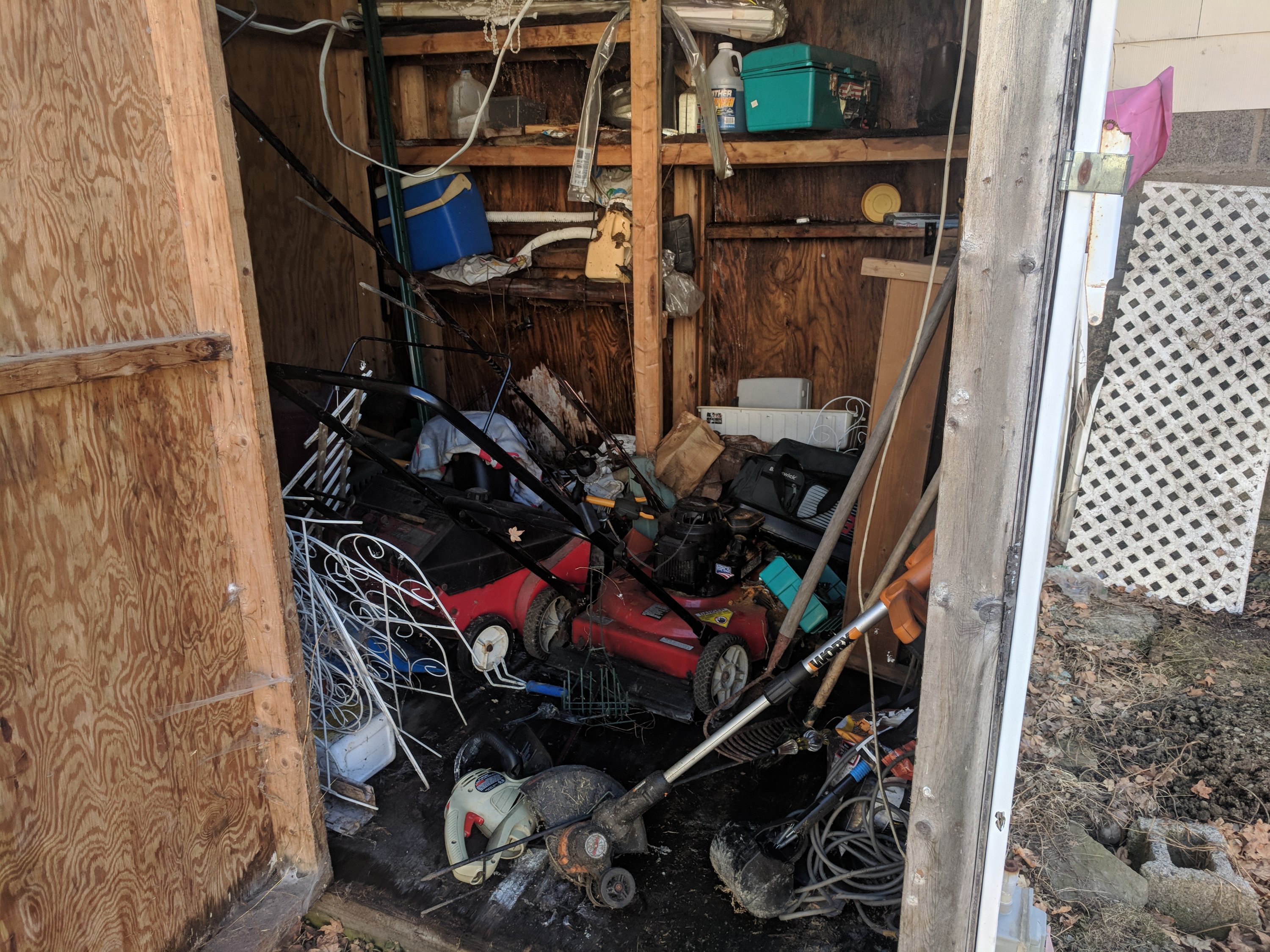 A cluttered shed with a lawnmower, string trimmer, shelves, and various tools and objects in disarray.