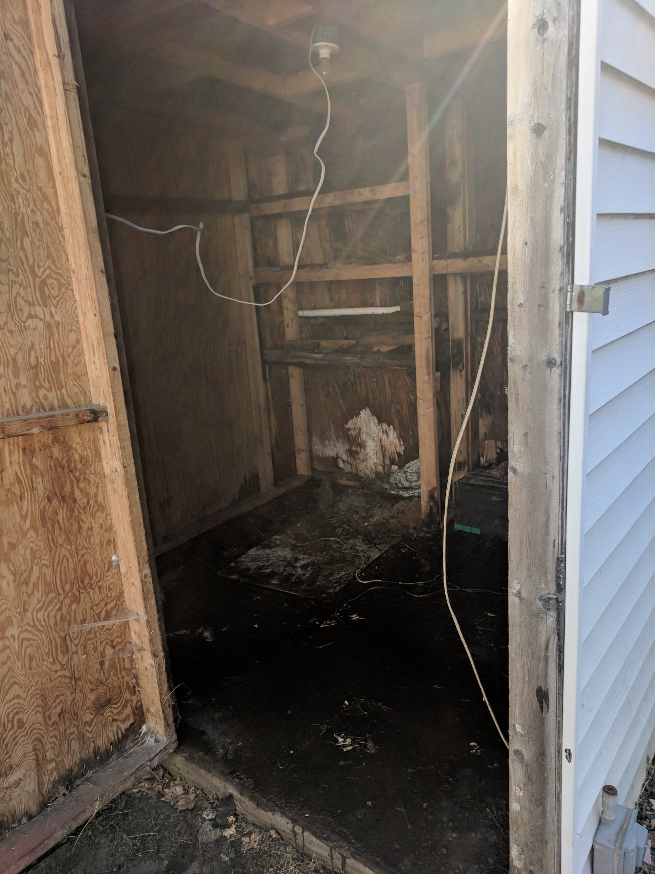 Interior of an old wooden shed with exposed beams, a dirt floor, and hanging wires. Door is open, letting in sunlight.