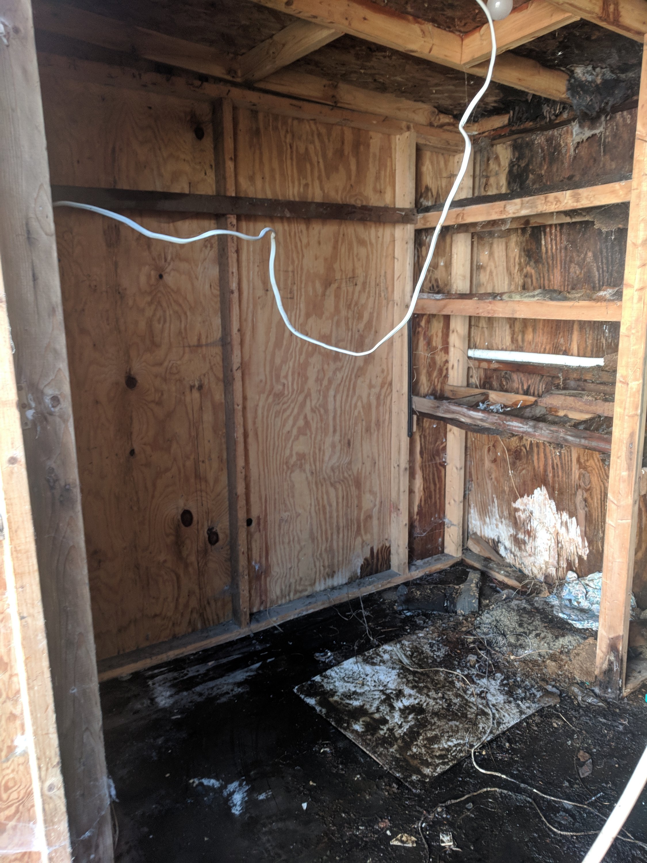 Interior of an empty, weathered wooden shed with exposed beams and shelves. The floor shows signs of water damage. A wire hangs from the ceiling.