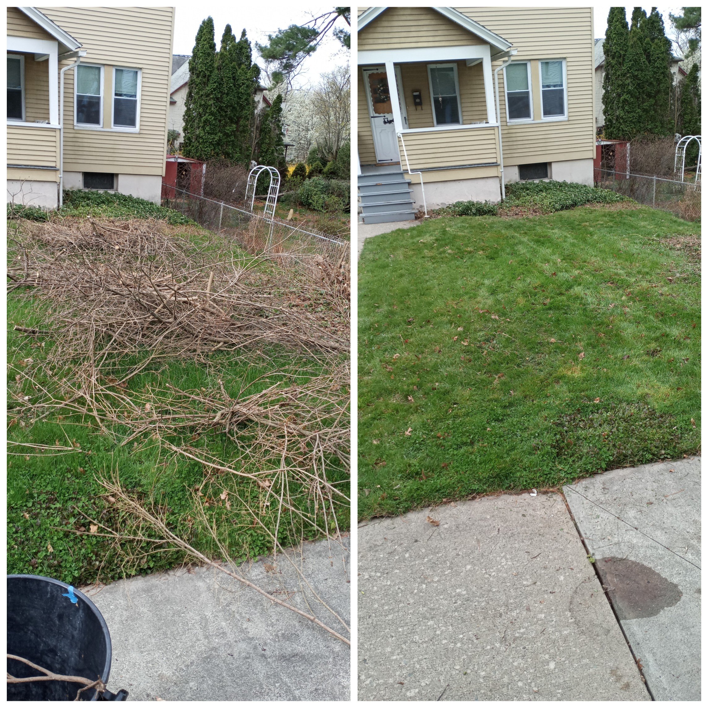 Side-by-side comparison of a yard before and after cleanup; left shows debris and overgrown grass, right displays the same yard neatly mowed and cleared.