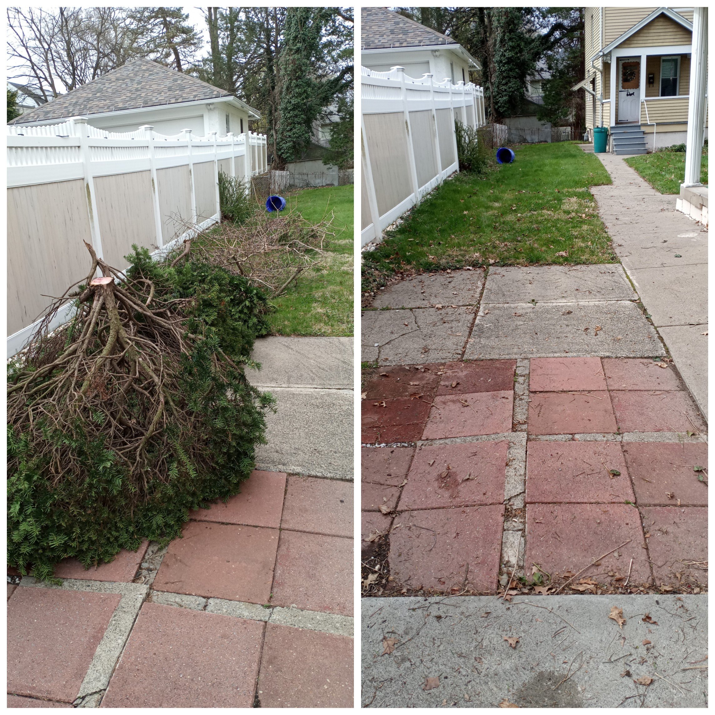 Two side-by-side images of a backyard sidewalk. Left: a pile of trimmed branches. Right: cleared sidewalk with visible red and concrete tiles.